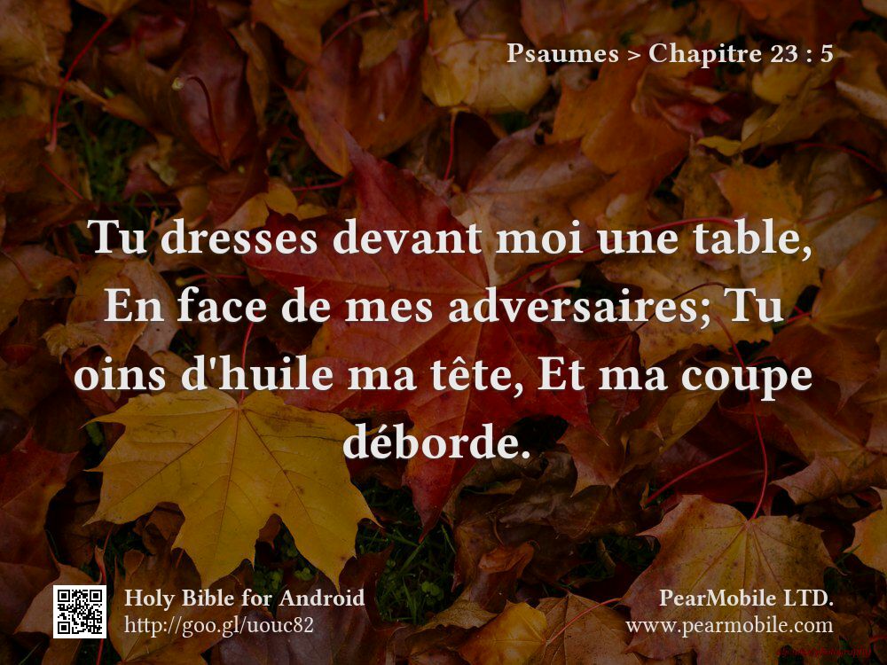 Psaumes, Chapitre 23:5